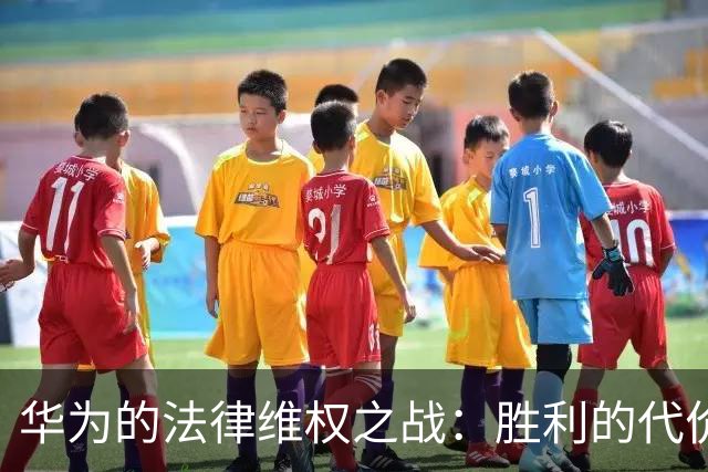 华为的法律维权之战：胜利的代价