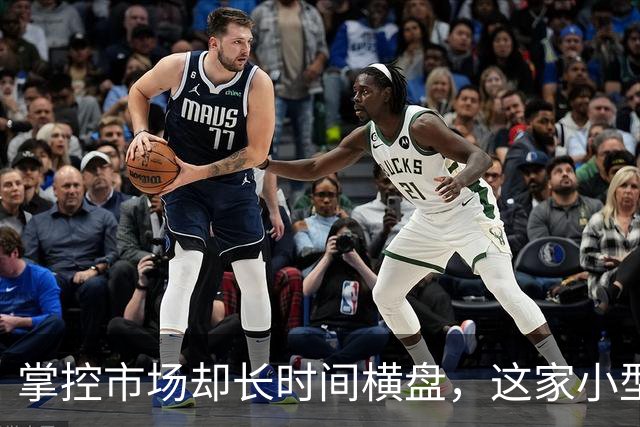 掌控市场却长时间横盘，这家小型上市公司为何吸引外资巨头关注？