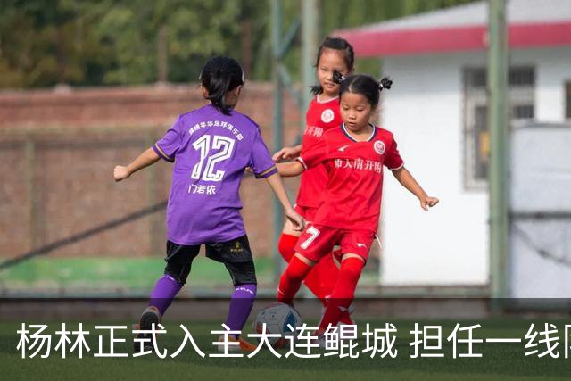 杨林正式入主大连鲲城 担任一线队主教练