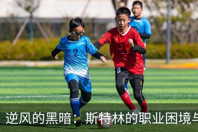 逆风的黑暗：斯特林的职业困境与个人责任